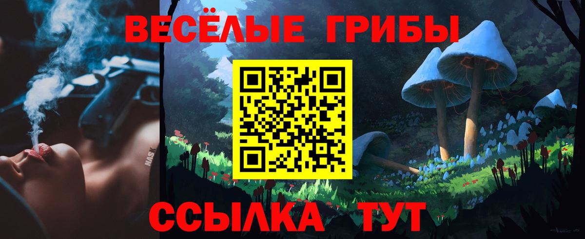 Коряжма  Галлюциногенные грибы мицелий  Вход с VPN  Галлюциногенные грибы Psilocybe 