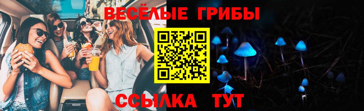Галлюциногенные грибы ЛСД Коряжма